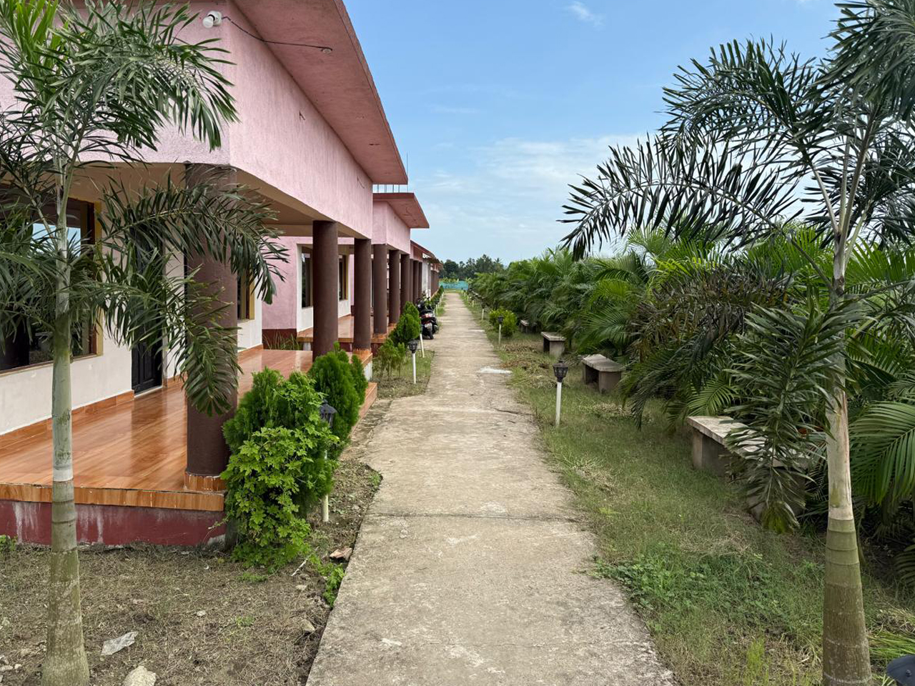 sundarban-tiger-safari