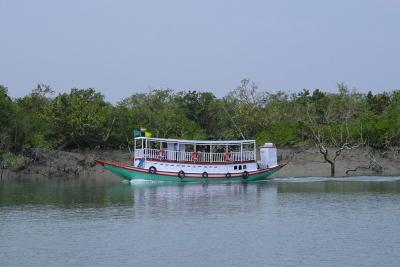 sundarban-tiger-safari